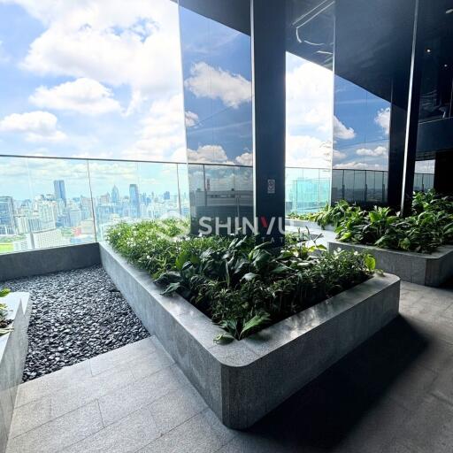 High-rise balcony with plants and city view