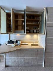 Modern kitchen with open cabinets