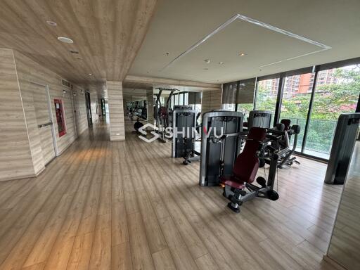 Modern gym with workout equipment and large windows