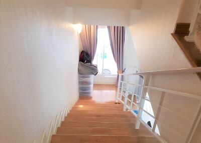 Interior view of a staircase with wooden steps and a railing, leading to a room with curtains and natural light