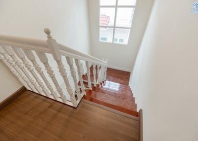 Staircase with wooden steps and white handrail