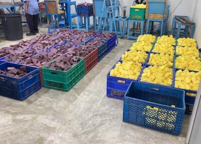 room with stacked plastic crates filled with brown and yellow sponge blocks