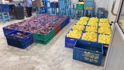 room with stacked plastic crates filled with brown and yellow sponge blocks