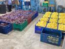 room with stacked plastic crates filled with brown and yellow sponge blocks