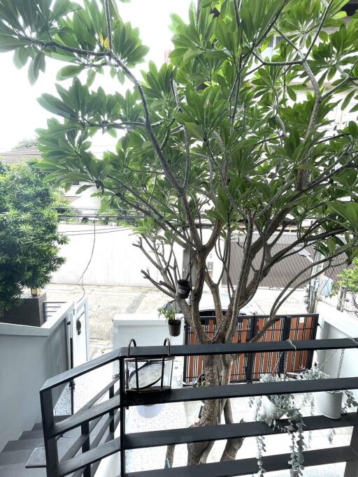 Staircase leading to the outdoor area with trees in view