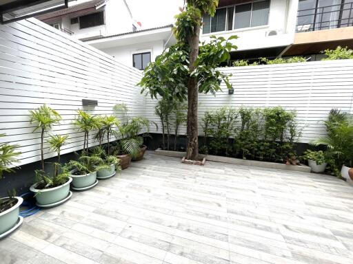 Outdoor area with plants and tree