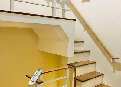 Indoor staircase area with wooden steps and white railings