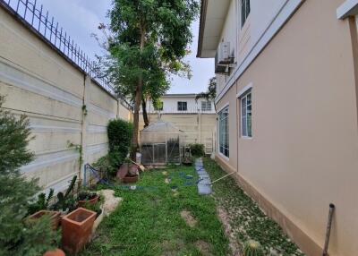 Photo of backyard area with grass, greenhouse, and various plants