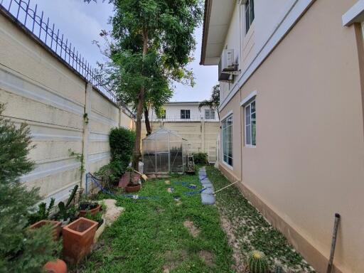 Photo of backyard area with grass, greenhouse, and various plants