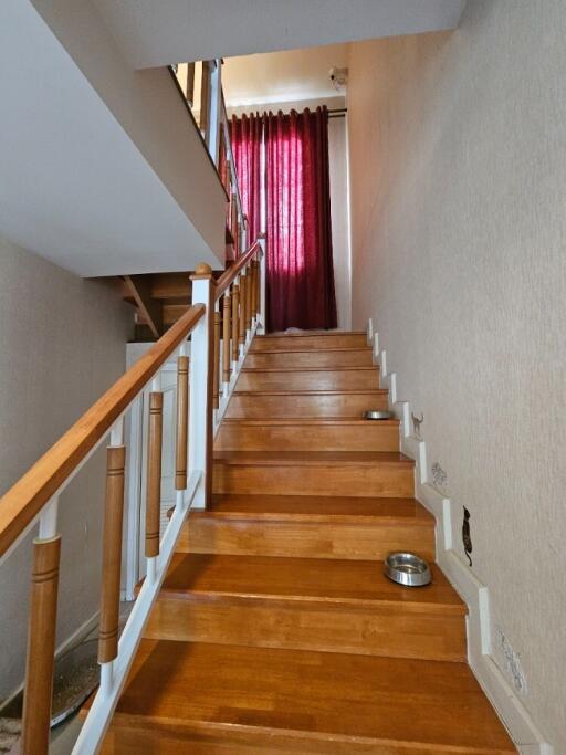 Wooden staircase with red curtains