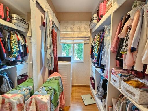 Spacious walk-in closet with ample storage on both sides, organized with clothes and accessories, featuring a window with a view.