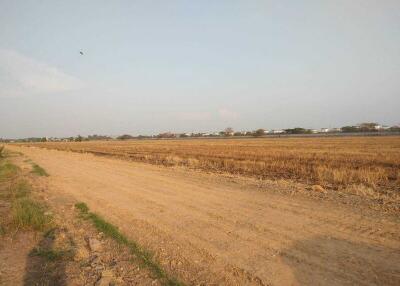 For Sale Pathum Thani Land Lam Luk Ka