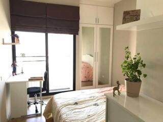 For Rent Bangkok Condo Noble Reveal Sukhumvit 63 BTS Ekkamai Watthana