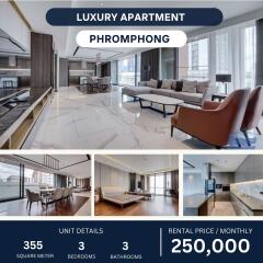 Spacious luxury apartment with an open living area, furnished with contemporary furniture