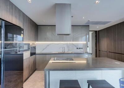 Modern kitchen with island and built-in appliances