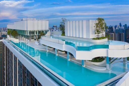 Rooftop pool with city view