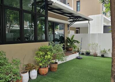 Outdoor garden with potted plants and artificial grass