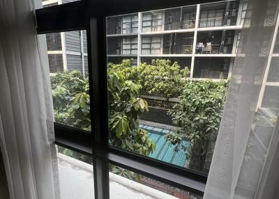 View of building and greenery through window