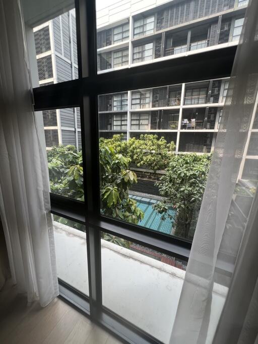 View of building and greenery through window