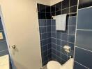 Bathroom with blue tiles