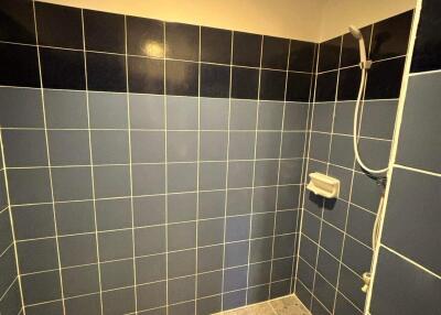 Tiled bathroom with shower area