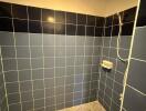 Tiled bathroom with shower area