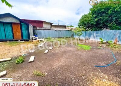 Spacious backyard area with potential