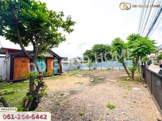 Spacious backyard with trees and a shed