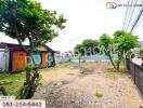 Spacious backyard with trees and a shed