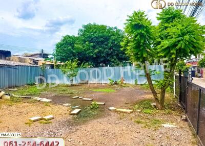 Vacant land plot with trees