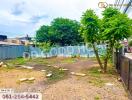 Vacant land plot with trees