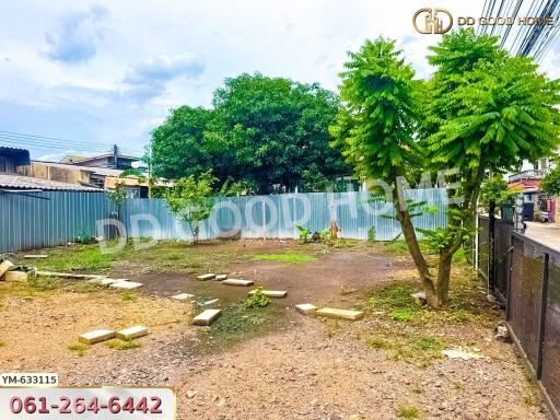 Vacant land plot with trees