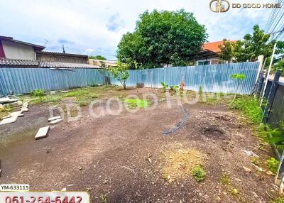 Backyard with some vegetation and a hose