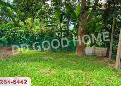 Lush garden with trees and greenery