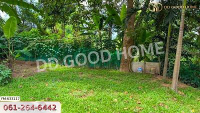 Lush garden with trees and greenery