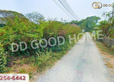 Dirt road leading through foliage with a house in the background