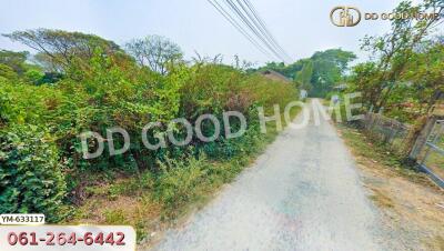 Dirt road leading through foliage with a house in the background