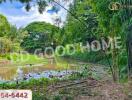 Outdoor view of a pond surrounded by lush greenery