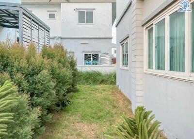 Backyard area between two buildings