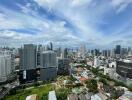 Aerial view of city skyline with skyscrapers and residential buildings