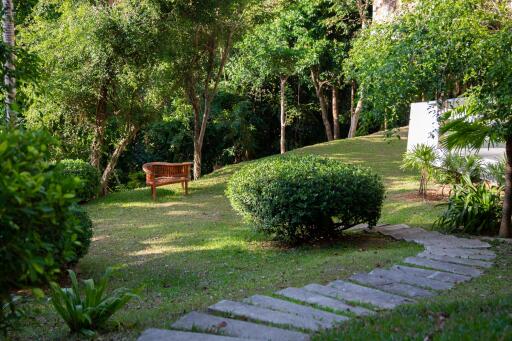 Lush garden with a wooden bench and stone pathway