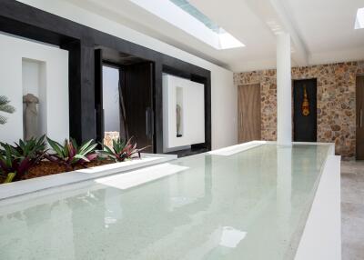 Modern interior with indoor water feature