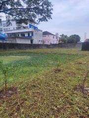 Image of a vacant plot with buildings in the background