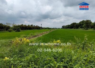 Expansive green field with a cloudy sky and interhome.co.th contact information overlaid