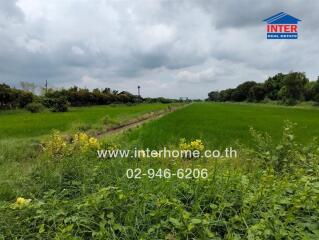 Expansive green field with a cloudy sky and interhome.co.th contact information overlaid