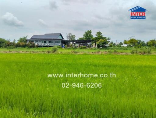 Green field with a building in the background