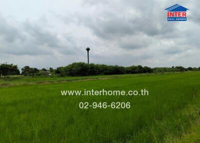 Expansive green field with cloudy sky and distant water tower