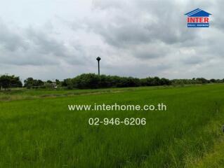 Expansive green field with cloudy sky and distant water tower