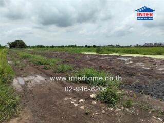 vacant land plot