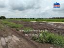 vacant plot of land for development